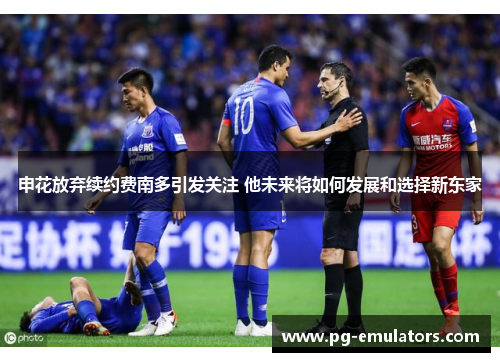 申花放弃续约费南多引发关注 他未来将如何发展和选择新东家