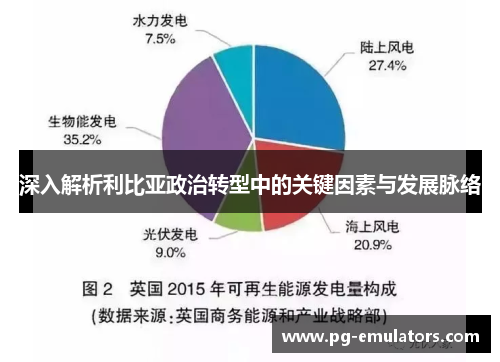 深入解析利比亚政治转型中的关键因素与发展脉络