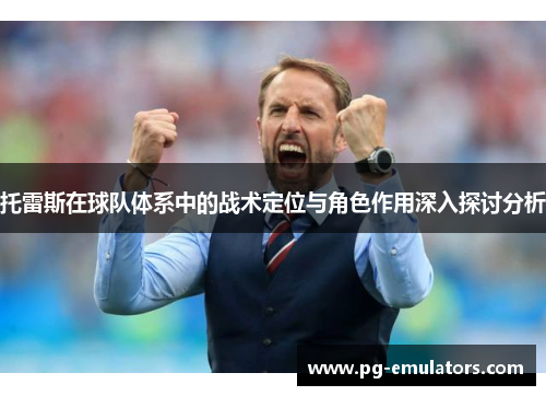托雷斯在球队体系中的战术定位与角色作用深入探讨分析