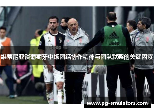 维蒂尼亚谈葡萄牙中场团结协作精神与团队默契的关键因素